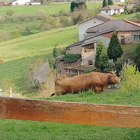 Rural Semellones Aceptamos Mascotas ゲストハウス *