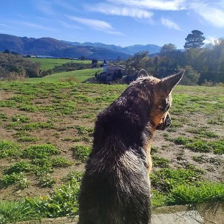 Rural Semellones Aceptamos Mascotas * La Llama